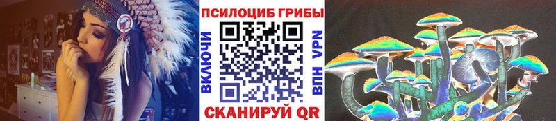 Галлюциногенные грибы мицелий  Купить закладки  Мглин 